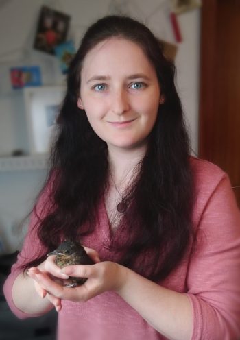 ichvogel ichvogel